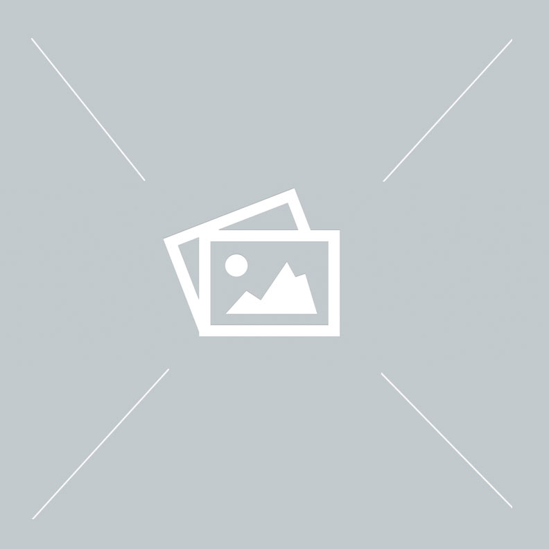 YANAK ALEM�NY�M ALTINA BUZLU PLEX�